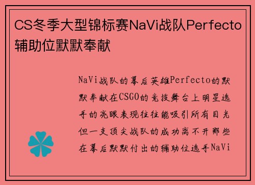 CS冬季大型锦标赛NaVi战队Perfecto辅助位默默奉献